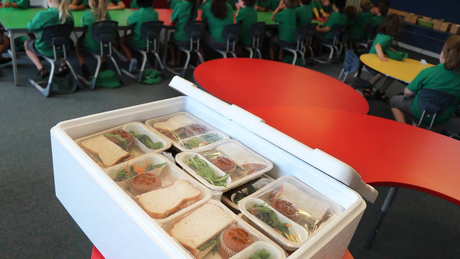 School Lunch Packaging