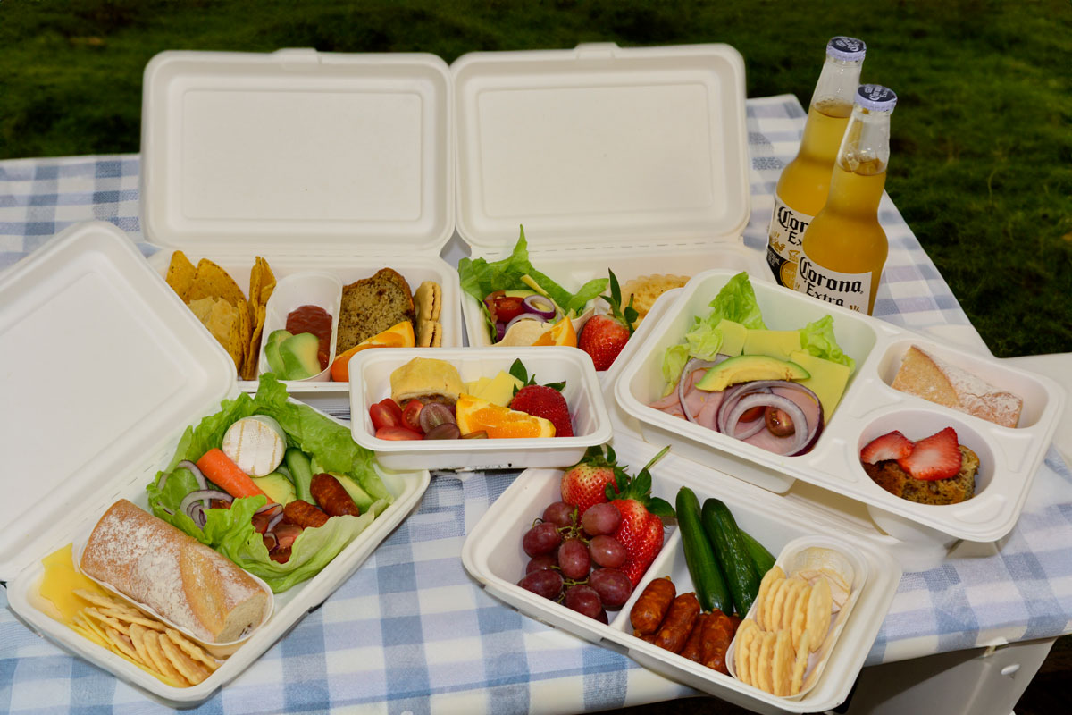 NZ picnic plates compostable
